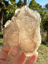 Skeletal Smoky Elestial Quartz from Brazil