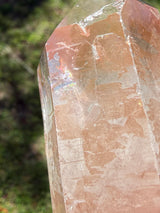 Lotus Quartz 11: Manifestation + Penetrator