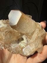 1+lb Smoky/Tangerine Lemurian Cluster: rare Twin Flame + Portal formations