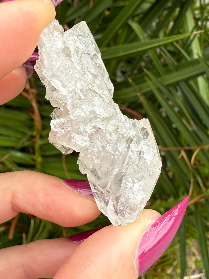 STINGRAY Clear Elestial Quartz from Brazil, Clear Quartz, Alligator Quartz, White Quartz, Elestial Quartz, Skeletal Quartz, Raw