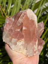 2.5+ lb Scarlet Temple Lemurian cluster from Diamantina, Brazil
