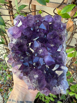 4.5+ lb Grape-Jelly Amethyst Geode Cluster from Brazil