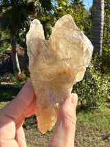 Rare: Thousand Layer Quartz Citrine, with Elestial formations from Brazil