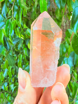 Lotus Quartz 5: Penetrator + Self Stands