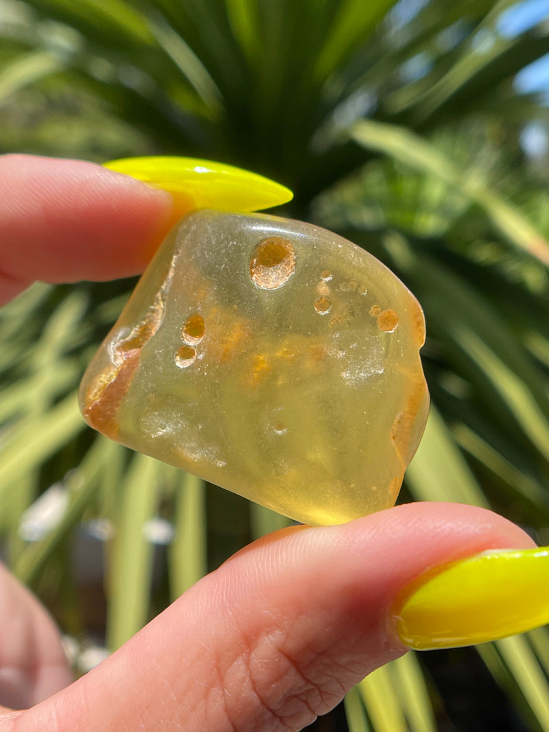 "ANCIENT": High Grade Amber from Colombia, Colombian Amber, Tumbled Amber, Authentic Amber