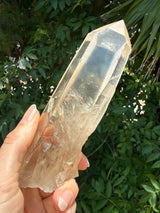 6" Extreme grade Natural CITRINE Lemurian Seed Crystal from Minas Gerais, Brazil- Channeler, Starbrary, Laser, Rainbows etc