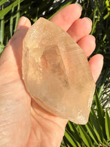 Rare DOW Natural CITRINE Lemurian Seed Crystal from Minas Gerais Brazil
