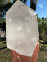 3.5+lb Self Standing Clear Lemurian Seed Crystal from Brazil