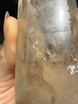 6" Extreme grade Natural CITRINE Lemurian Seed Crystal from Minas Gerais, Brazil- Channeler, Starbrary, Laser, Rainbows etc