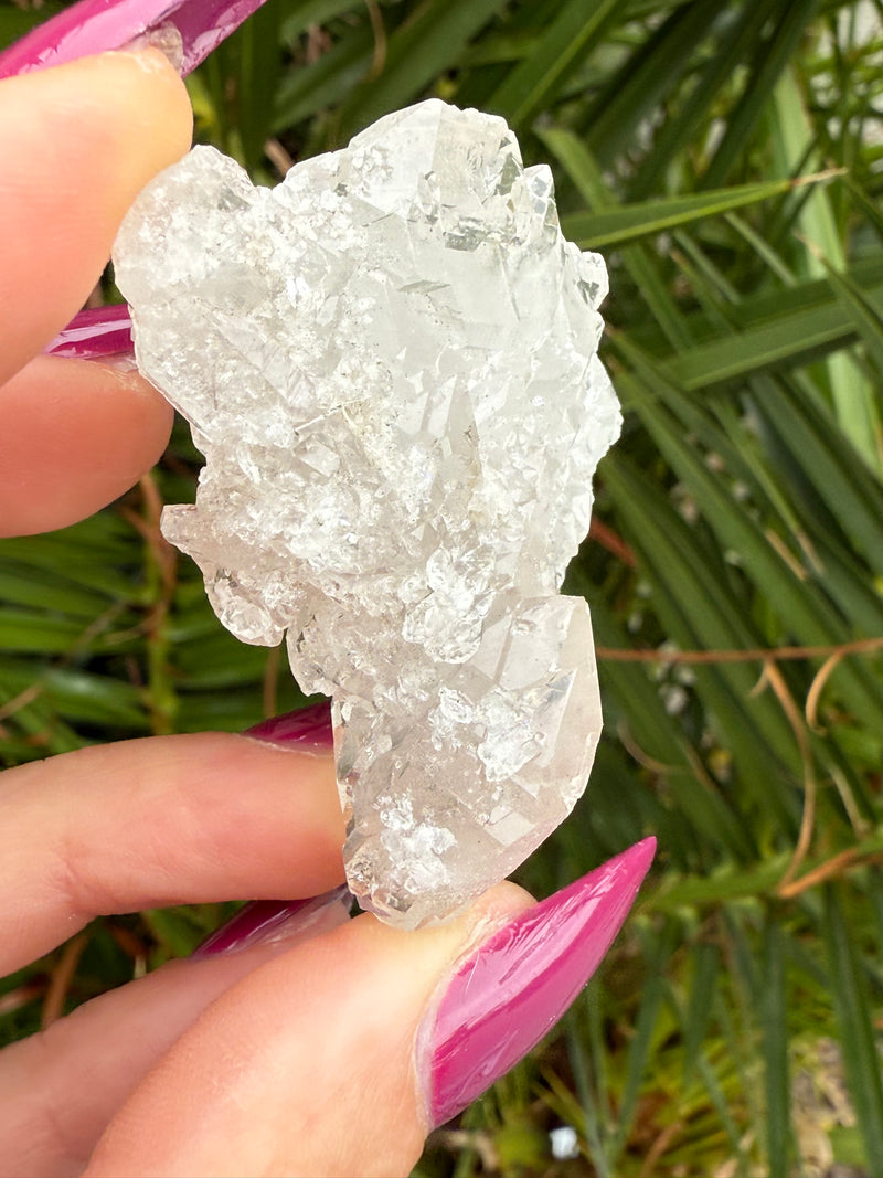 STINGRAY Clear Elestial Quartz from Brazil, Clear Quartz, Alligator Quartz, White Quartz, Elestial Quartz, Skeletal Quartz, Raw