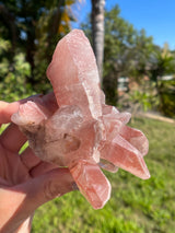 Dreamsicle Scarlet Temple Lemurian Seed Crystal from Brazil, Lemurian Seed Point, Lemurian Seed Crystal, Lemurian Seed Wand,Red Lemurian