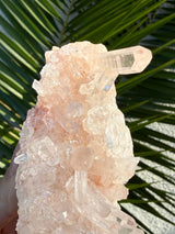 Pink Himalayan Quartz Cluster, Samadhi Himalayan Quartz