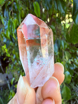 Lotus Quartz 3: Record Keeper