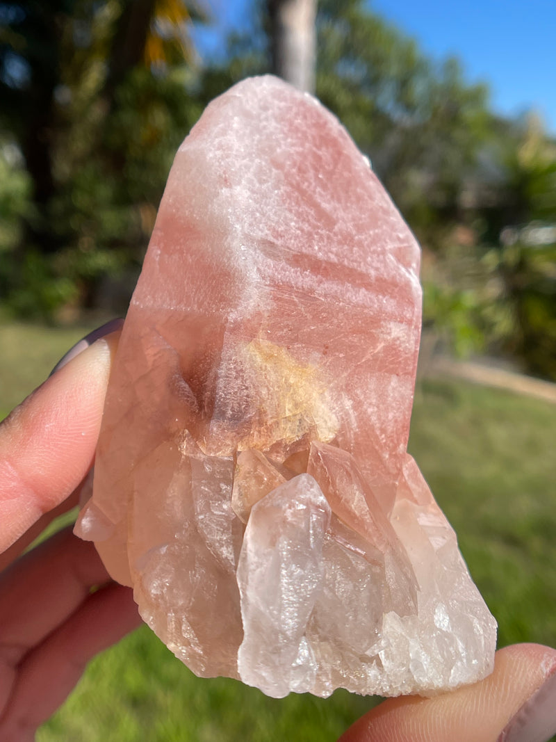 Dreamsicle Scarlet Temple Lemurian Seed Crystal from Brazil, Lemurian Seed Point, Lemurian Seed Crystal, Lemurian Seed Wand,Red Lemurian