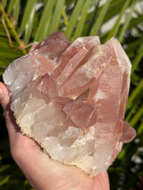 2.5+ lb Scarlet Temple Lemurian cluster from Diamantina, Brazil