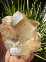 1+lb Smoky/Tangerine Lemurian Cluster: rare Twin Flame + Portal formations