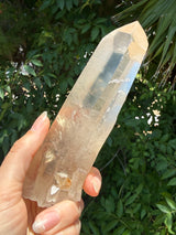 6" Extreme grade Natural CITRINE Lemurian Seed Crystal from Minas Gerais, Brazil- Channeler, Starbrary, Laser, Rainbows etc