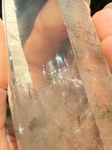 6" Extreme grade Natural CITRINE Lemurian Seed Crystal from Minas Gerais, Brazil- Channeler, Starbrary, Laser, Rainbows etc