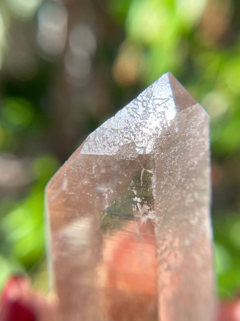 Raised RECORD KEEPER Starbrary Citrine from Brazil