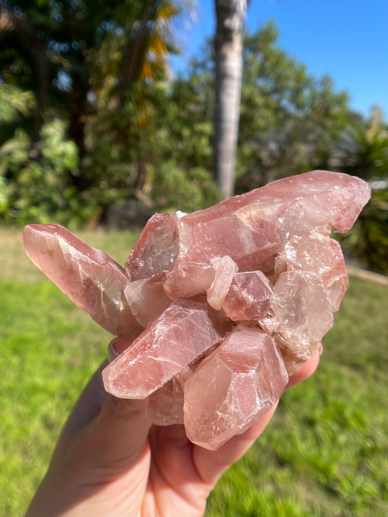 Dreamsicle Scarlet Temple Lemurian Seed Crystal from Brazil, Lemurian Seed Point, Lemurian Seed Crystal, Lemurian Seed Wand,Red Lemurian