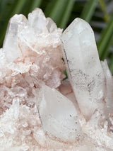 Pink Samadhi Himalayan Quartz Cluster from Pradesh, India