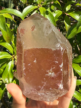 "Rainbow Brite": 5" Sugar Plum Quartz from Goias, Brazil: Rainbows, ET, Ally, Penetrator, Sigils, etc