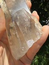 6" Extreme grade Natural CITRINE Lemurian Seed Crystal from Minas Gerais, Brazil- Channeler, Starbrary, Laser, Rainbows etc