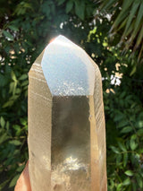 6" Extreme grade Natural CITRINE Lemurian Seed Crystal from Minas Gerais, Brazil- Channeler, Starbrary, Laser, Rainbows etc