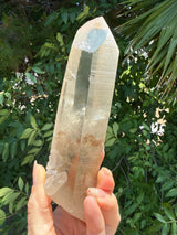 6" Extreme grade Natural CITRINE Lemurian Seed Crystal from Minas Gerais, Brazil- Channeler, Starbrary, Laser, Rainbows etc