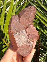 Rare: Triplet DT Scarlet Temple Lemurian cluster from Brazil, Red Lemurian, Lemurian Seed Crystal,Lemurian Cluster,Rare Lemurian,DT Lemurian