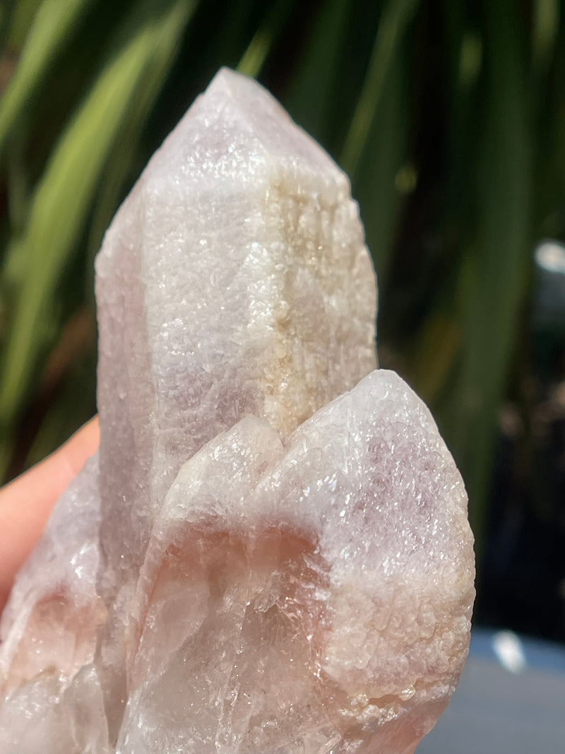 RARE "Dragon Scale" Terminated Pink Dreamsicle Lemurian from Diamantina Brazil, Rare Lemurian, Lemurian Cluster, Pink Lemurian, Dreamsicle