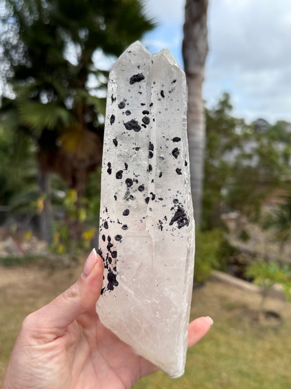 Large Inner Mongolian Quartz point with Hematite Rosettes