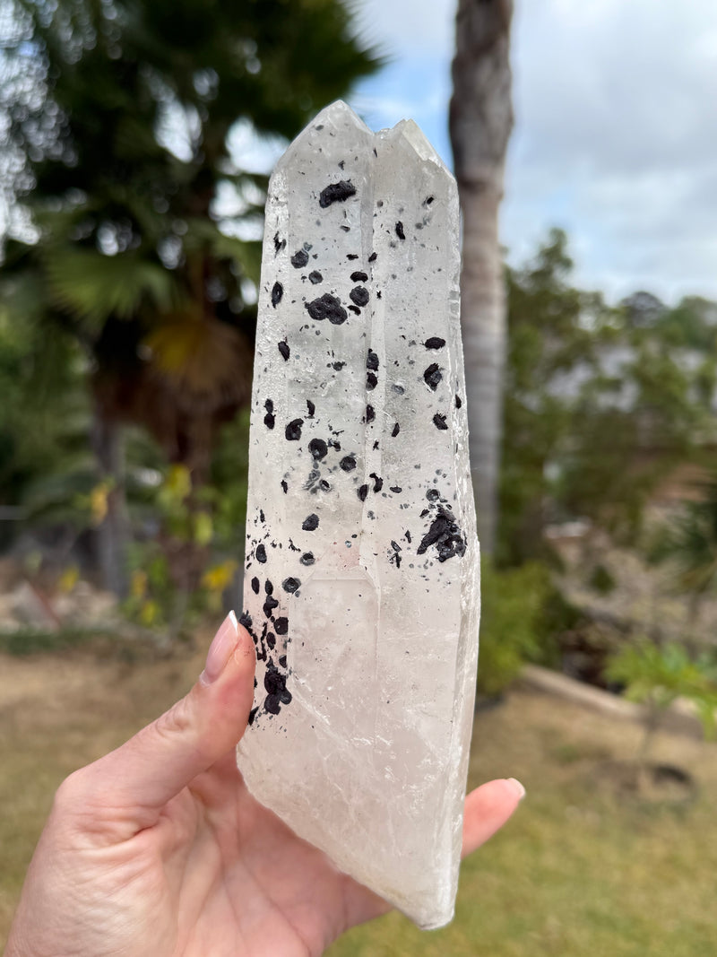 Large Inner Mongolian Quartz point with Hematite Rosettes