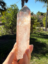 Lotus Quartz 11: Manifestation + Penetrator