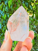 Lotus Quartz 8: Isis + Self Stands