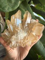 1+lb Smoky/Tangerine Lemurian Cluster: rare Twin Flame + Portal formations