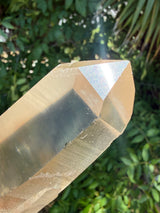 6" Extreme grade Natural CITRINE Lemurian Seed Crystal from Minas Gerais, Brazil- Channeler, Starbrary, Laser, Rainbows etc