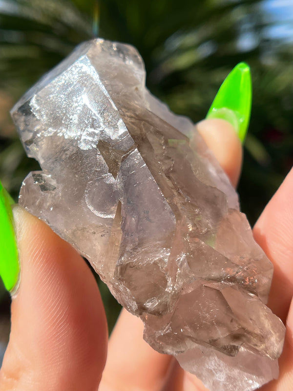 Smoky Elestial Quartz from Brazil, Natural Crystal, Smoky Quartz, Alligator Quartz, Smokey Quartz, Elestial Quartz, Skeletal Quartz, Raw