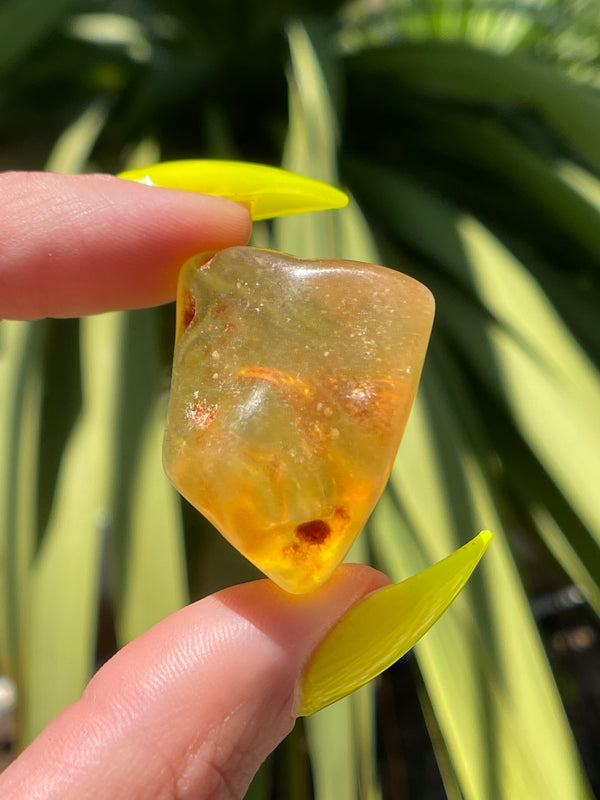 "SUNBURST": High Grade Amber from Colombia, Colombian Amber, Tumbled Amber, Authentic Amber