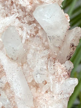 Pink Samadhi Himalayan Quartz Cluster from Pradesh, India