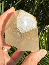 Rare DOW Natural CITRINE Lemurian Seed Crystal from Minas Gerais Brazil