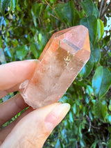 Lotus Quartz 4: Ally