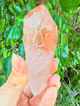 Lotus Quartz 10: Penetrator