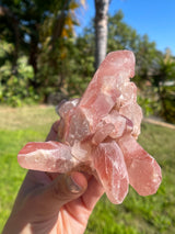 Dreamsicle Scarlet Temple Lemurian Seed Crystal from Brazil, Lemurian Seed Point, Lemurian Seed Crystal, Lemurian Seed Wand,Red Lemurian