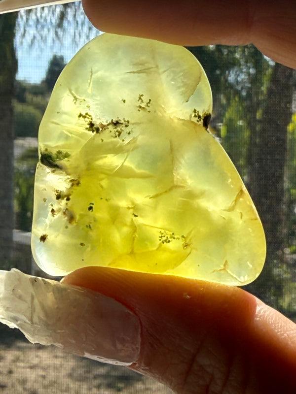 Gem Grade Australian Prehnite F