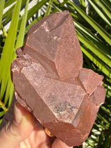 Rare: Triplet DT Scarlet Temple Lemurian cluster from Brazil, Red Lemurian, Lemurian Seed Crystal,Lemurian Cluster,Rare Lemurian,DT Lemurian