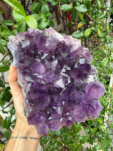 4.5+ lb Grape-Jelly Amethyst Geode Cluster from Brazil