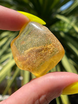 "CONSTELLATION": High Grade Amber from Colombia, Colombian Amber, Tumbled Amber, Authentic Amber