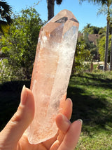 Lotus Quartz 11: Manifestation + Penetrator