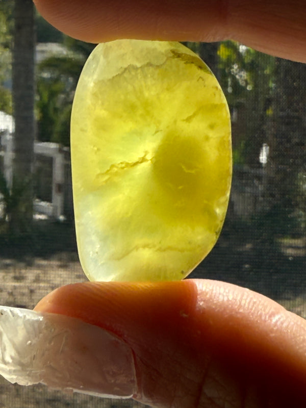 Gem Grade Australian Prehnite E